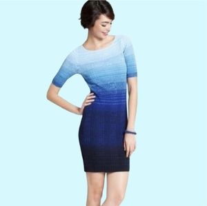 Ann Taylor Ombre Knit Dress